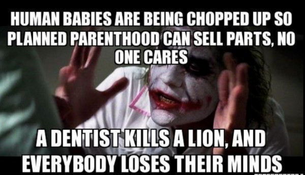 Dentist Lion and PP copy