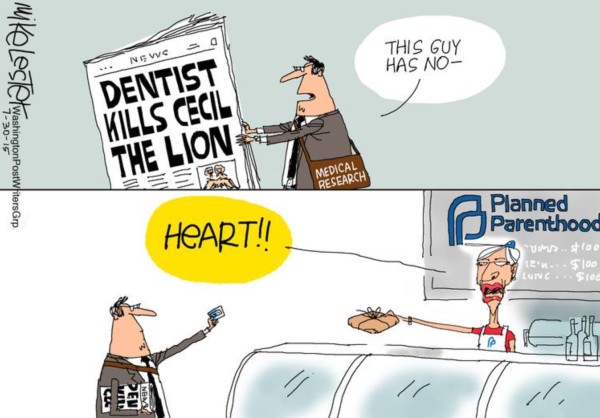 Lion v PP copy