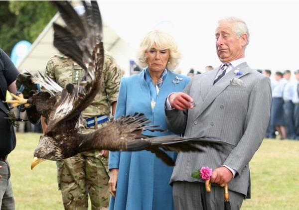 Royal family?