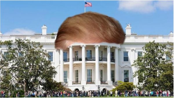 Trump Hair House copy