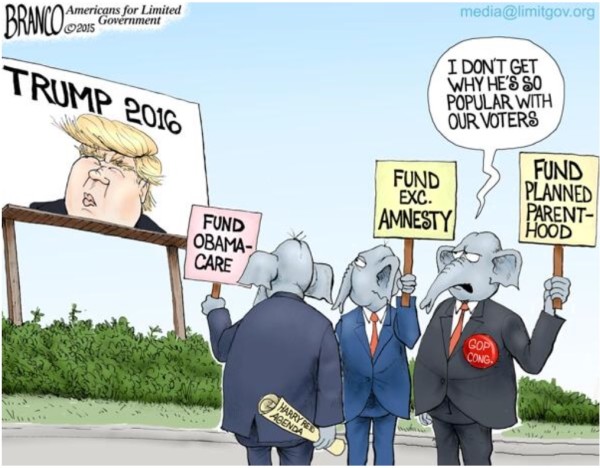 Trump populairity explained copy
