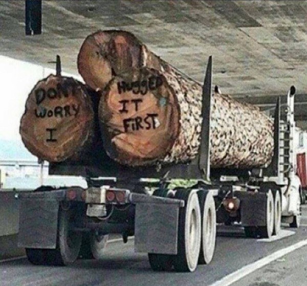 Hugged the Tree copy