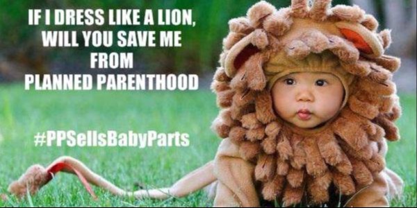 Lion Dress copy
