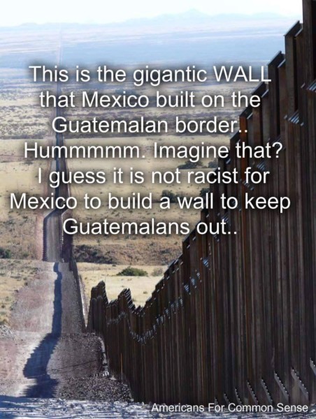 Mexico's Wall copy
