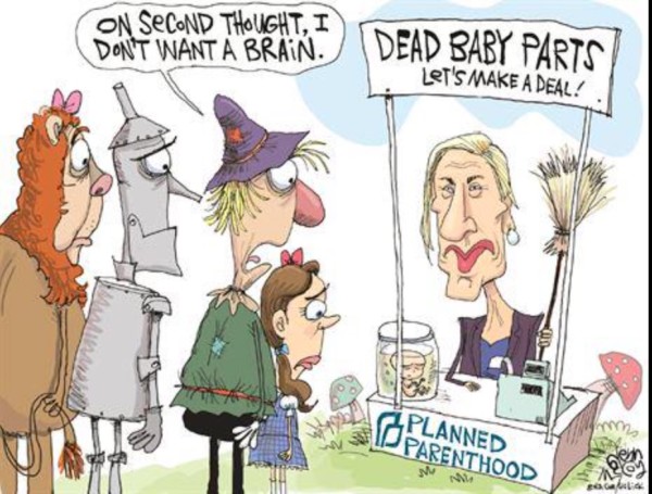 PP Brain copy
