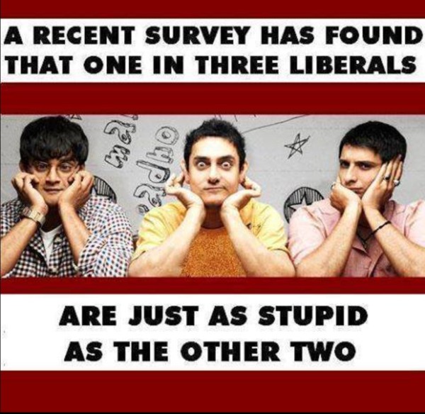 Stupid Liberals copy