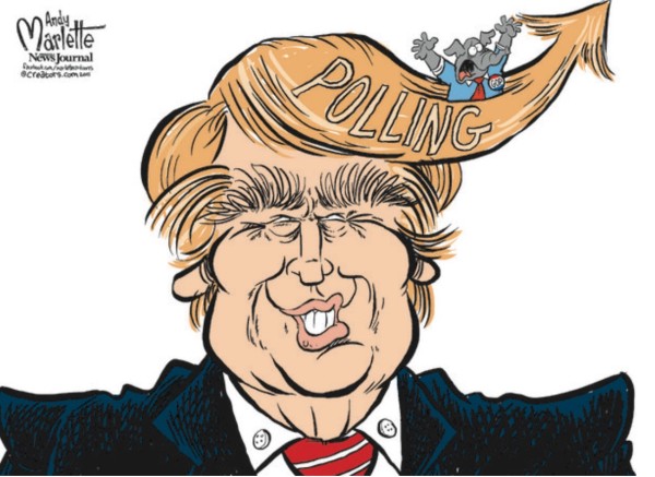 Trump Polling copy