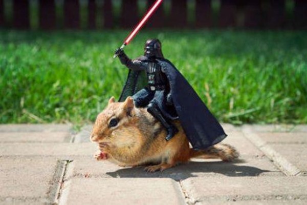 Vader chipmunk copy
