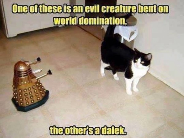 Dallek Cat copy
