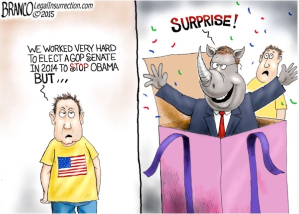 GOP Majority copy