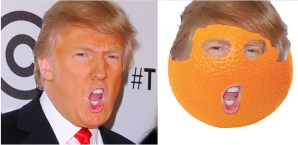 Trump Orange copy