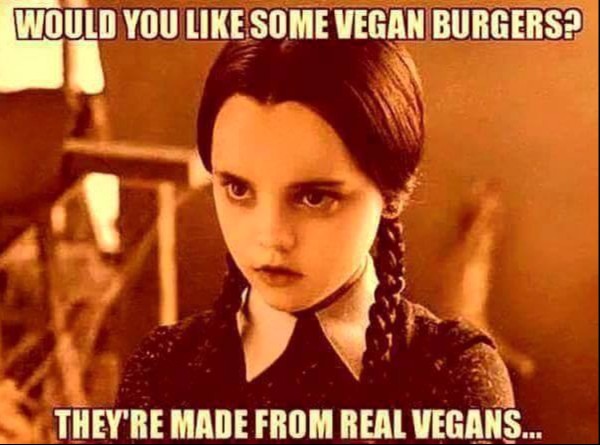 Vegan Burgers copy