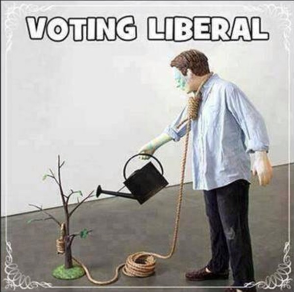 Voting Liberal copy