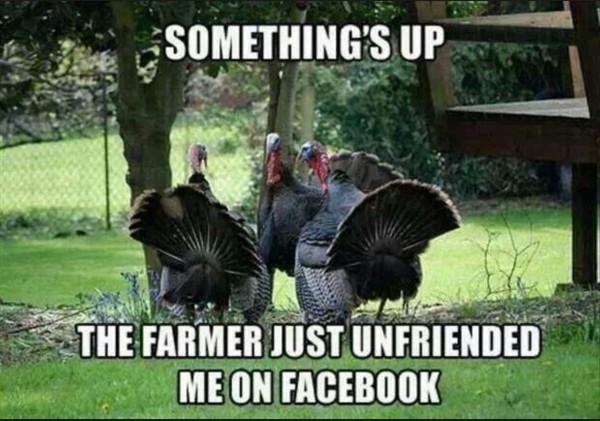 Facebook Thanksgiving copy