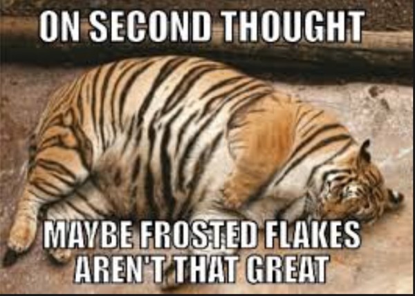Frosted Flakes copy