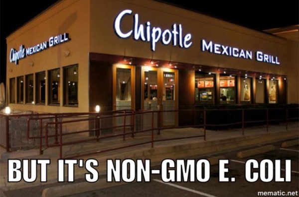 Non GMO e coli copy