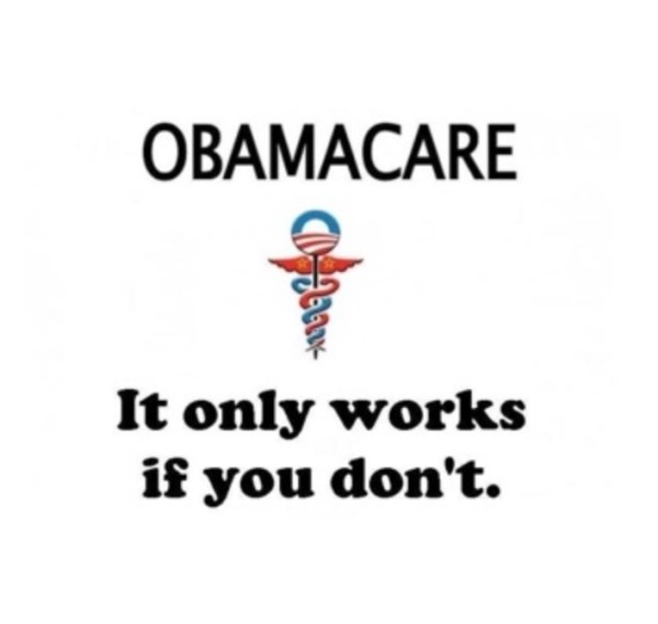 Obamacare Works copy