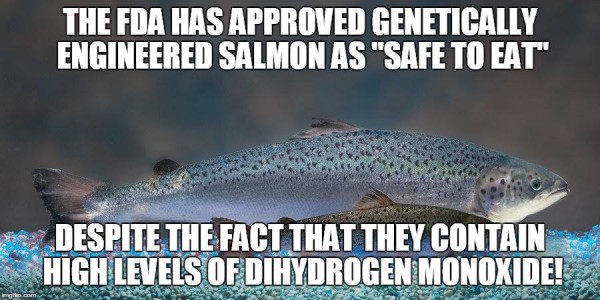 Salmon Monoxide