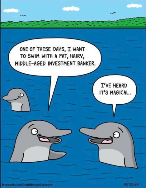 Swim with Humans copy