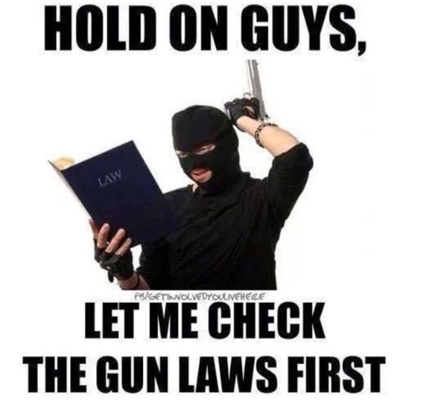 Check Gun Laws copy