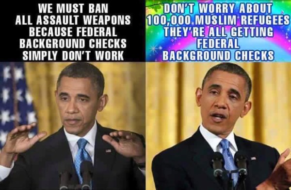 Obama Background checks