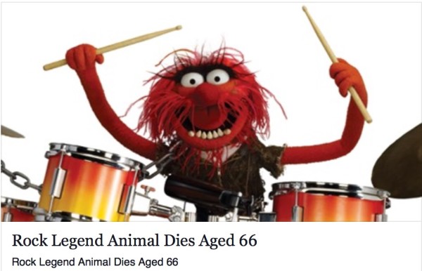 Animal Dies copy