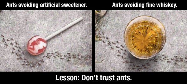 AntsAvoidWhiskey