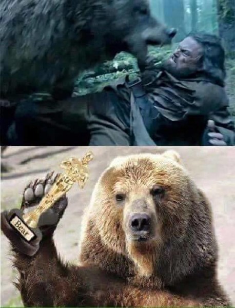 Bear Oscar