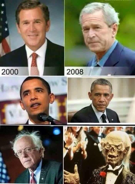 Bernie Creeper