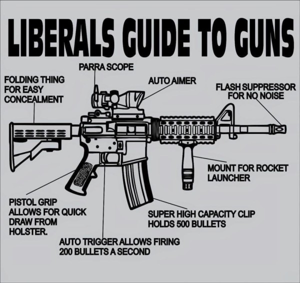 Liberal Guide to Guns