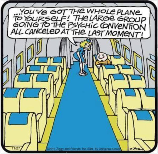 Ziggy Airplane copy
