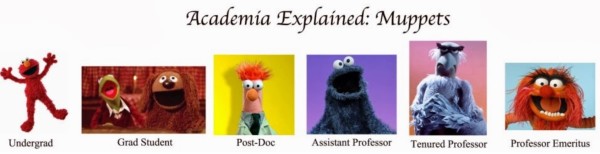 Academic Muppets