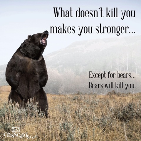 Bears Kill you