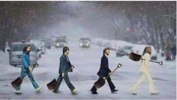 Snow Beatles