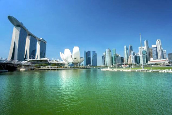 The Daily News caption: "Singapore would make a great getaway after Stupor Tuesday."
