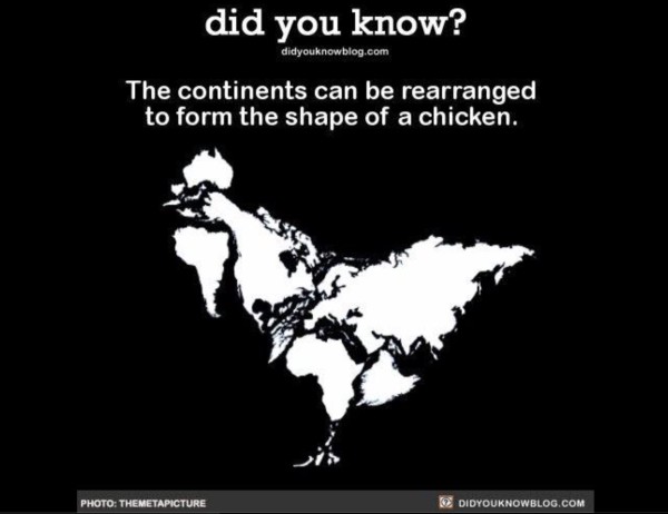 Chicken Continents copy