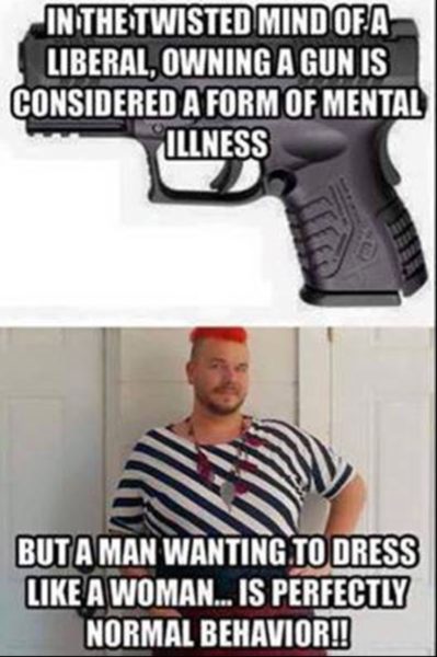 Guns vs Trans copy
