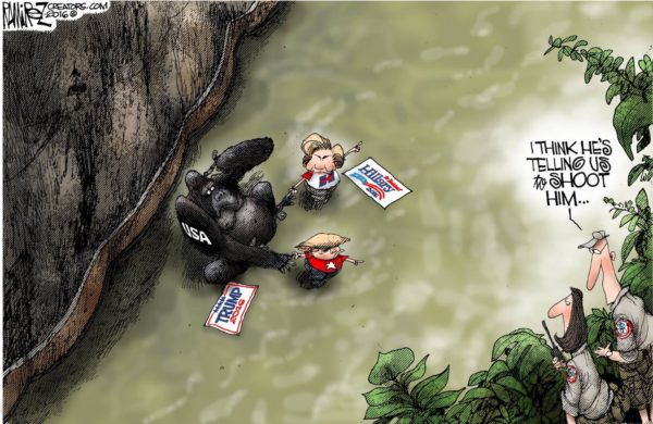 Gorilla Hillary copy