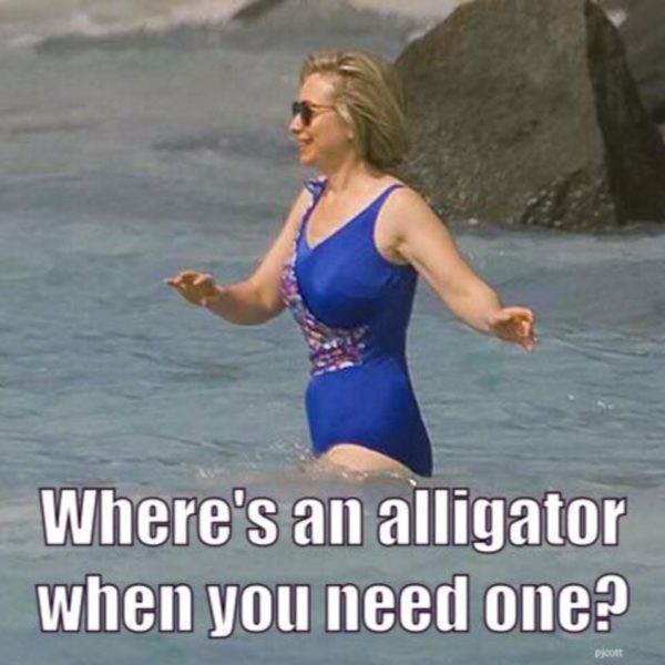 Hillary Alligator copy