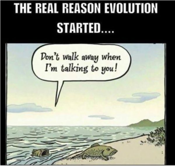 How Evolution Started copy