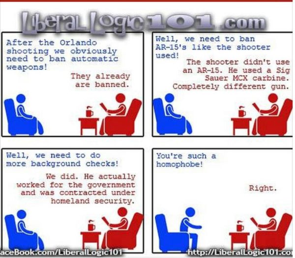 Liberal Logic copy