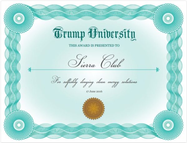 Trump Diploma copy