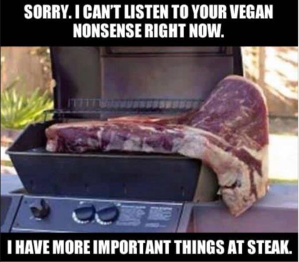Vegan Steak copy