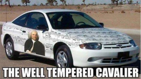 Well Tempered Cavalier copy