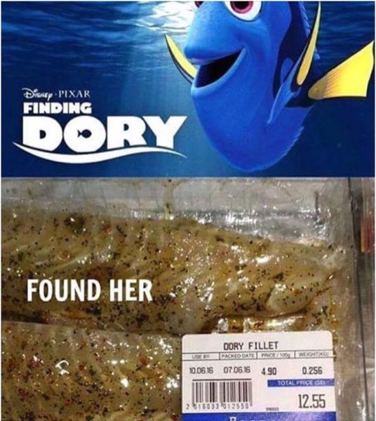 Finding Dory copy