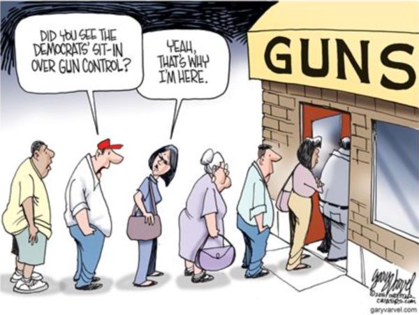 Gun Contrl Sit In copy