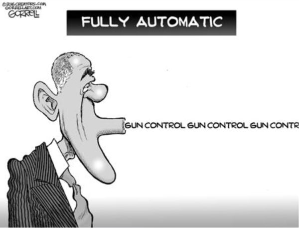Obama Guns2 copy