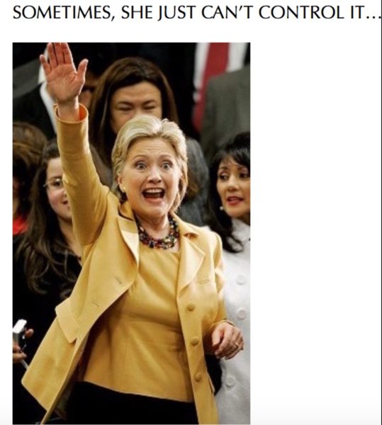 Seig Hillary copy