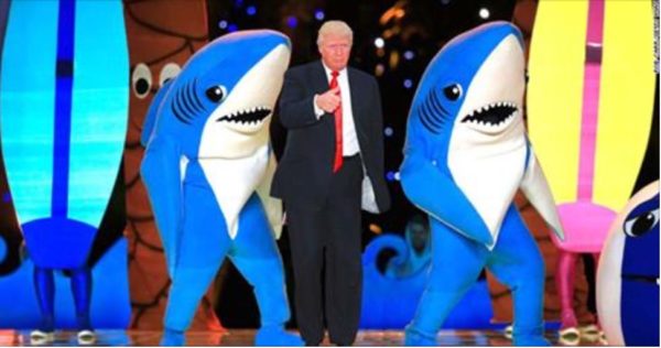 Trump Sharks copy