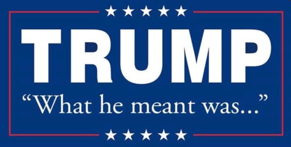 What Trump Meant copy